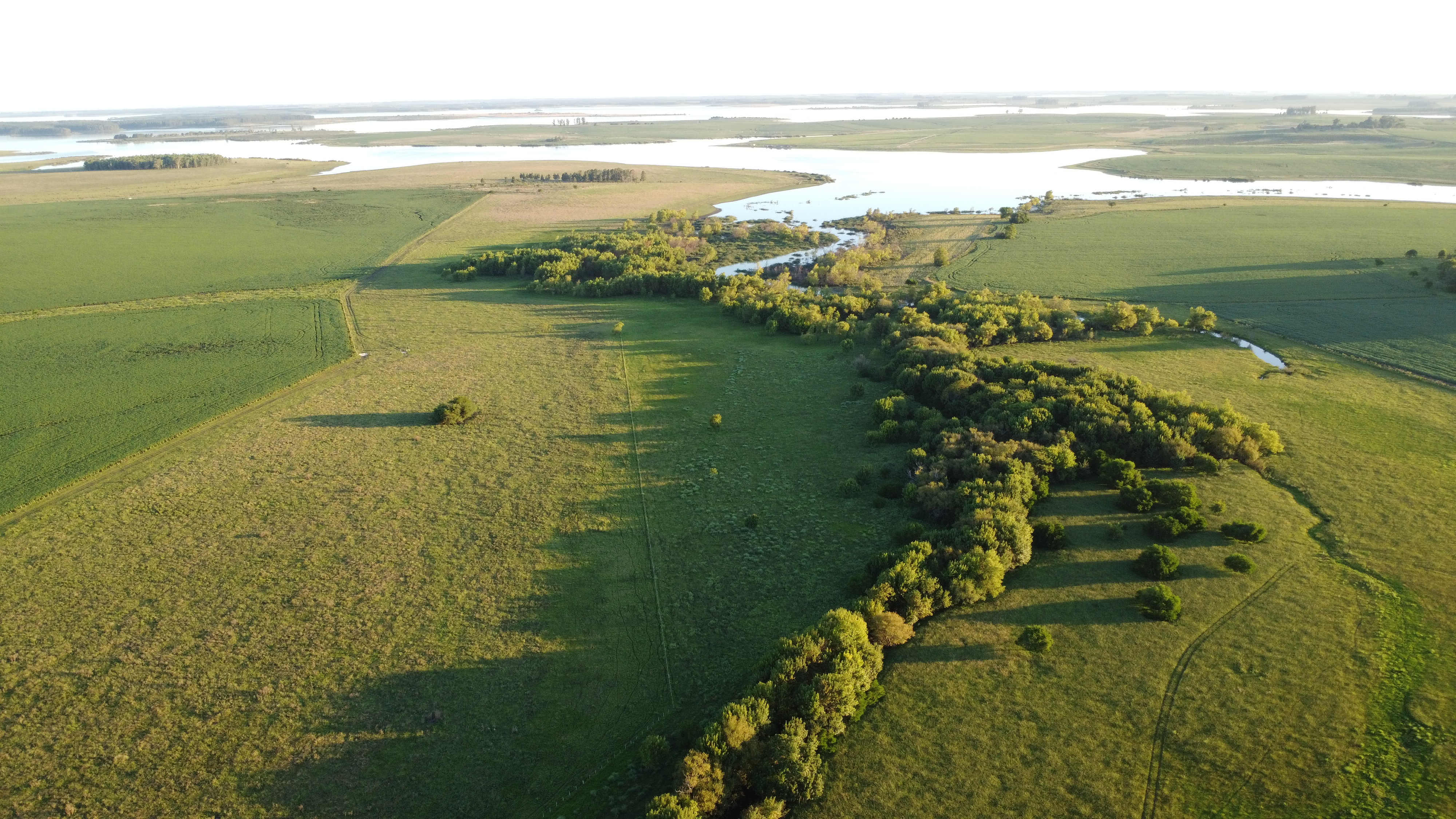 Unlocking Farmland Opportunities in Uruguay