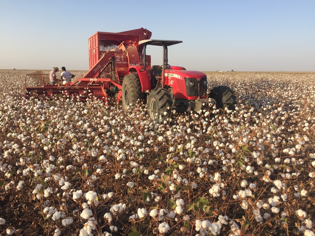 Design of agronomic strategy and ongoing farming support | Soil Capital ...