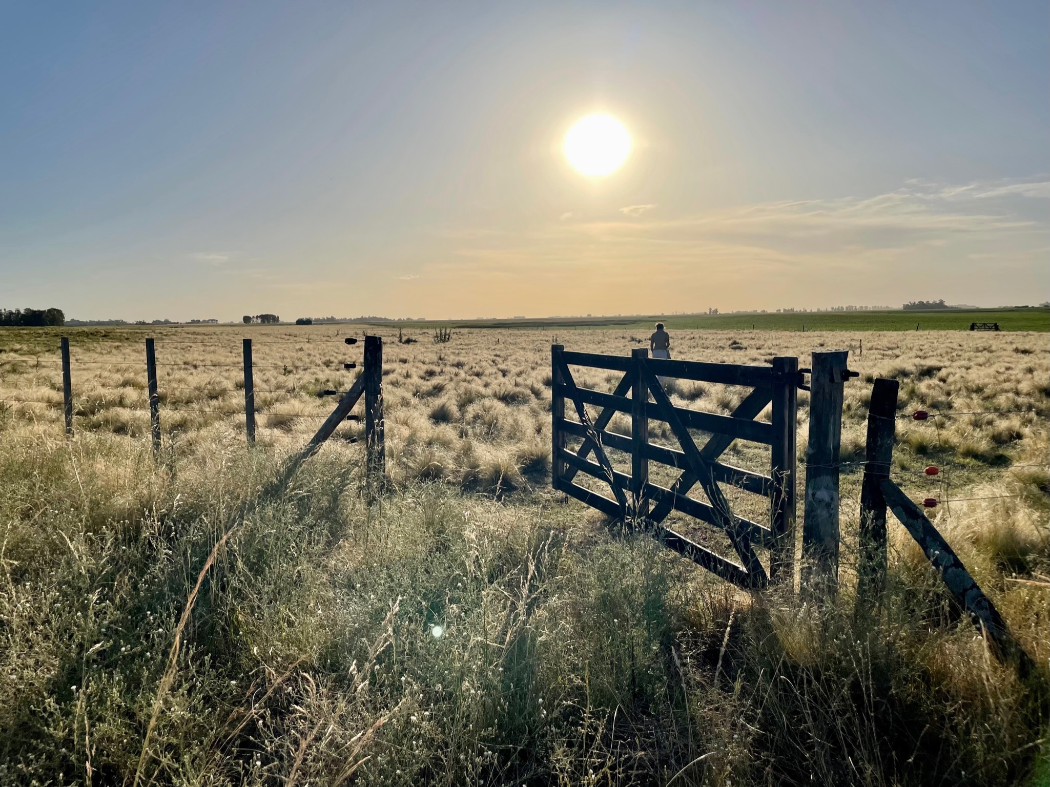 Regenerative transition strategies in Latin America