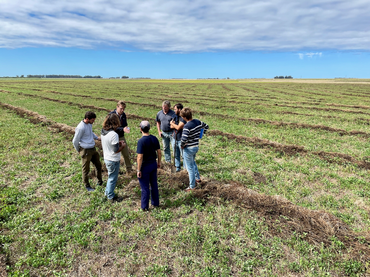 Cebada malteada regenerativa baja en carbono en la provincia de Buenos Aires