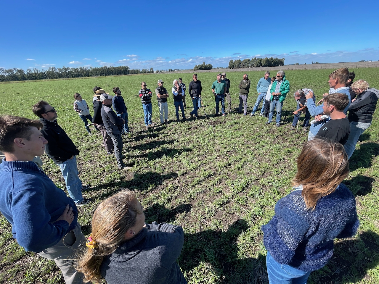 Cebada malteada regenerativa baja en carbono en la provincia de Buenos Aires