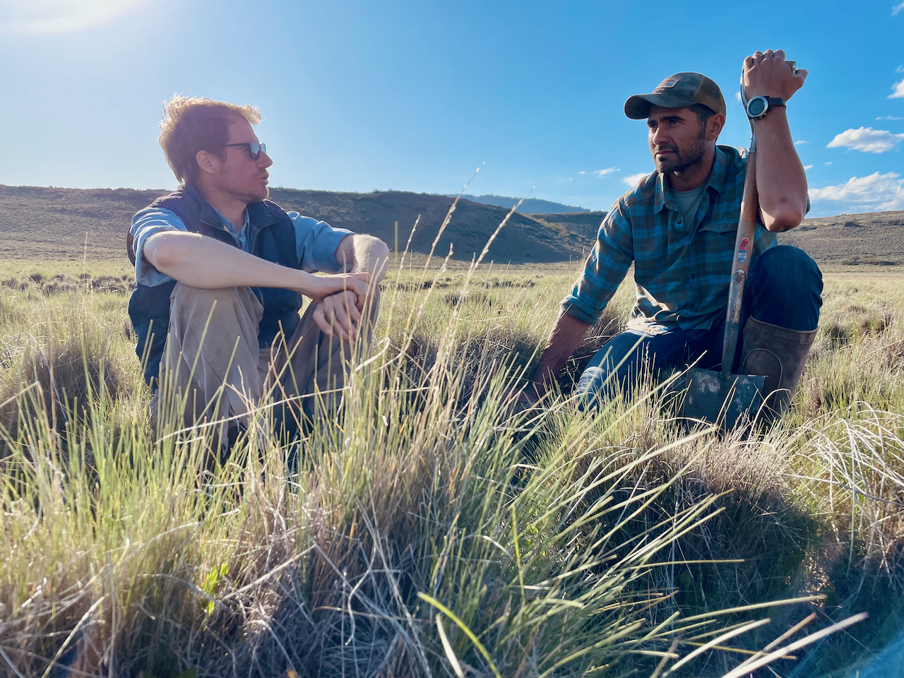 Land Restoration Project in Patagonia, Argentina