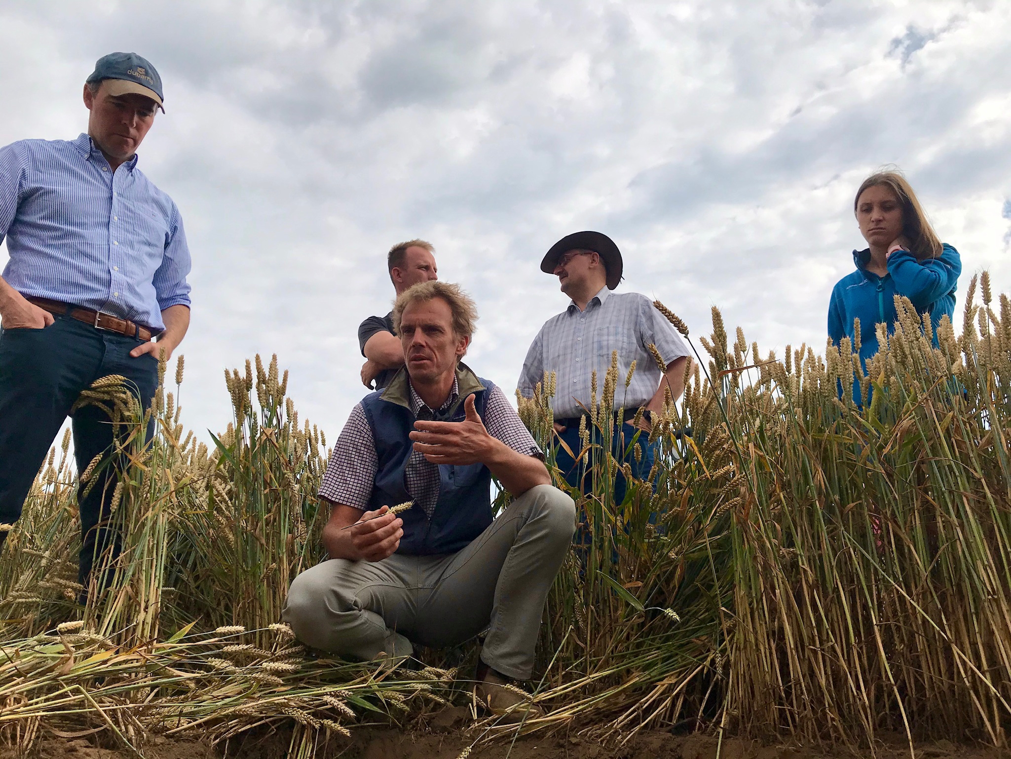 Apoyo estratégico para una transición hacia la agricultura regenerativa en Polonia