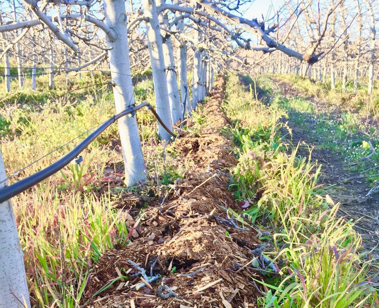 Estrategias de conservación del agua durante la sequía en Western Cape