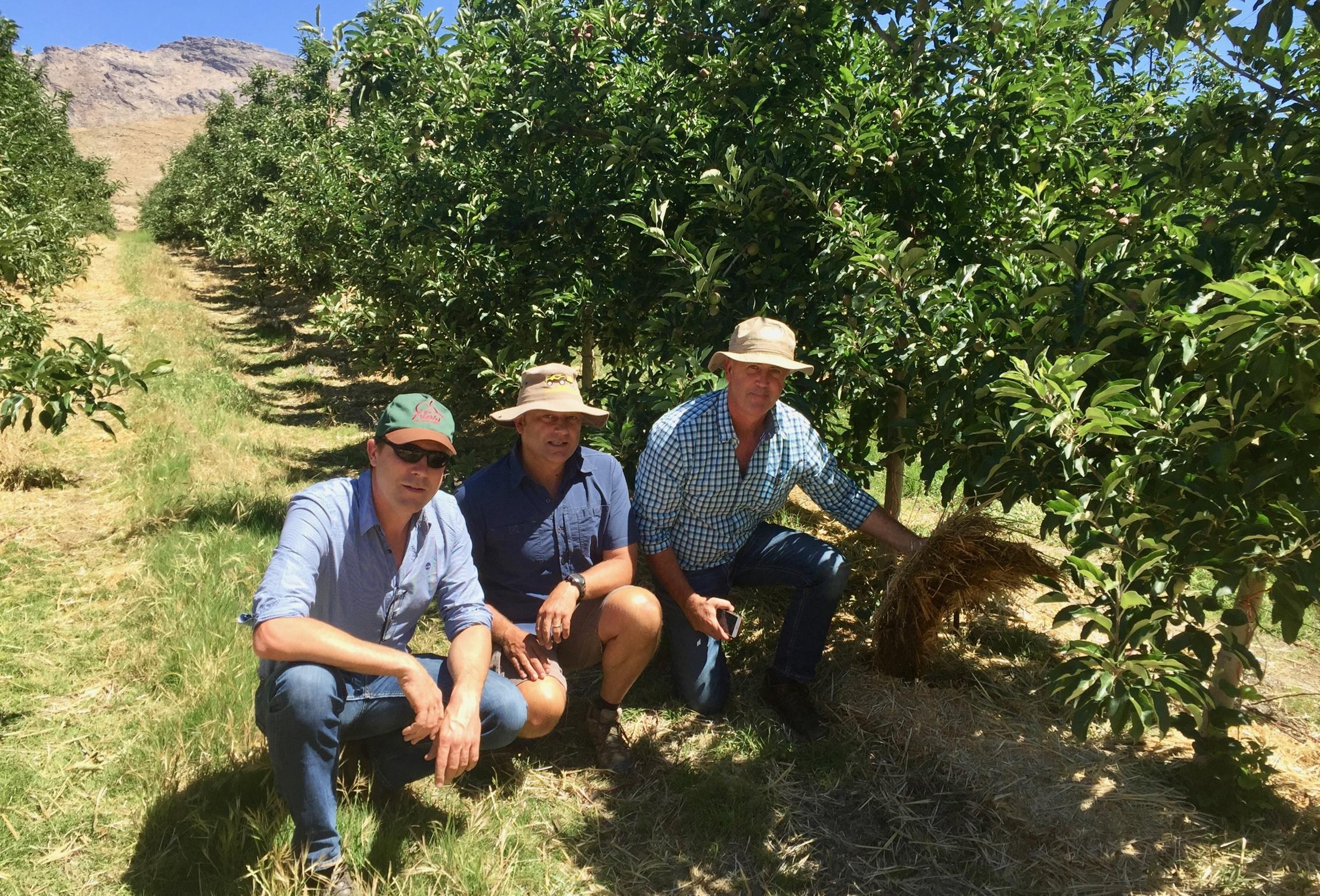 Gestión integral de una empresa agrícola internacional