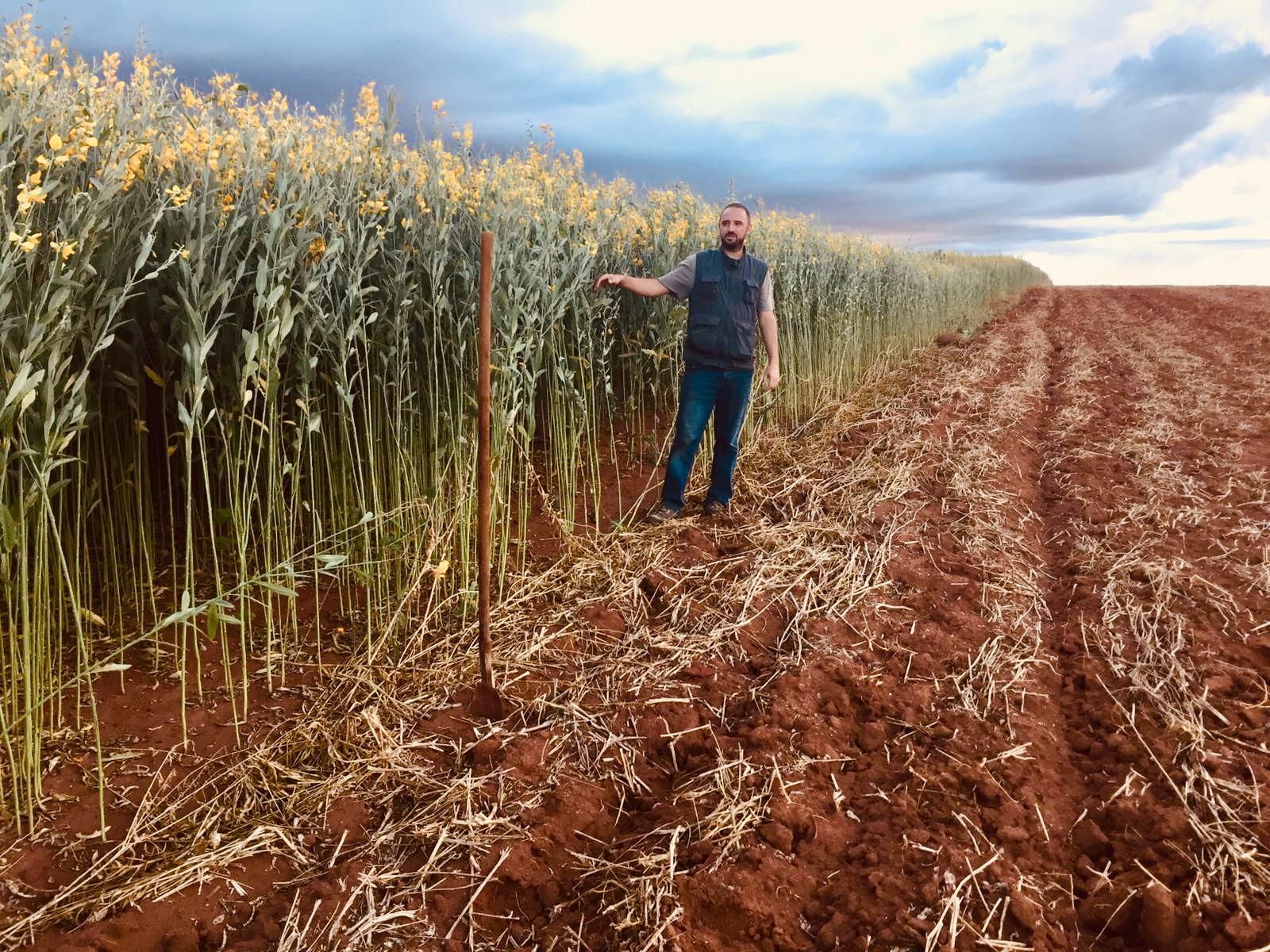 Due diligence y asesoría técnica de una operación agrícola en Madagascar