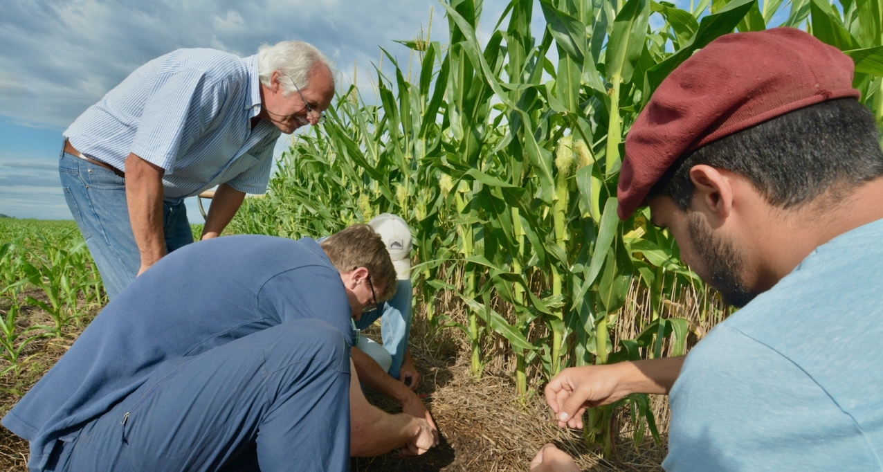 Regenerative transition strategies in Latin America