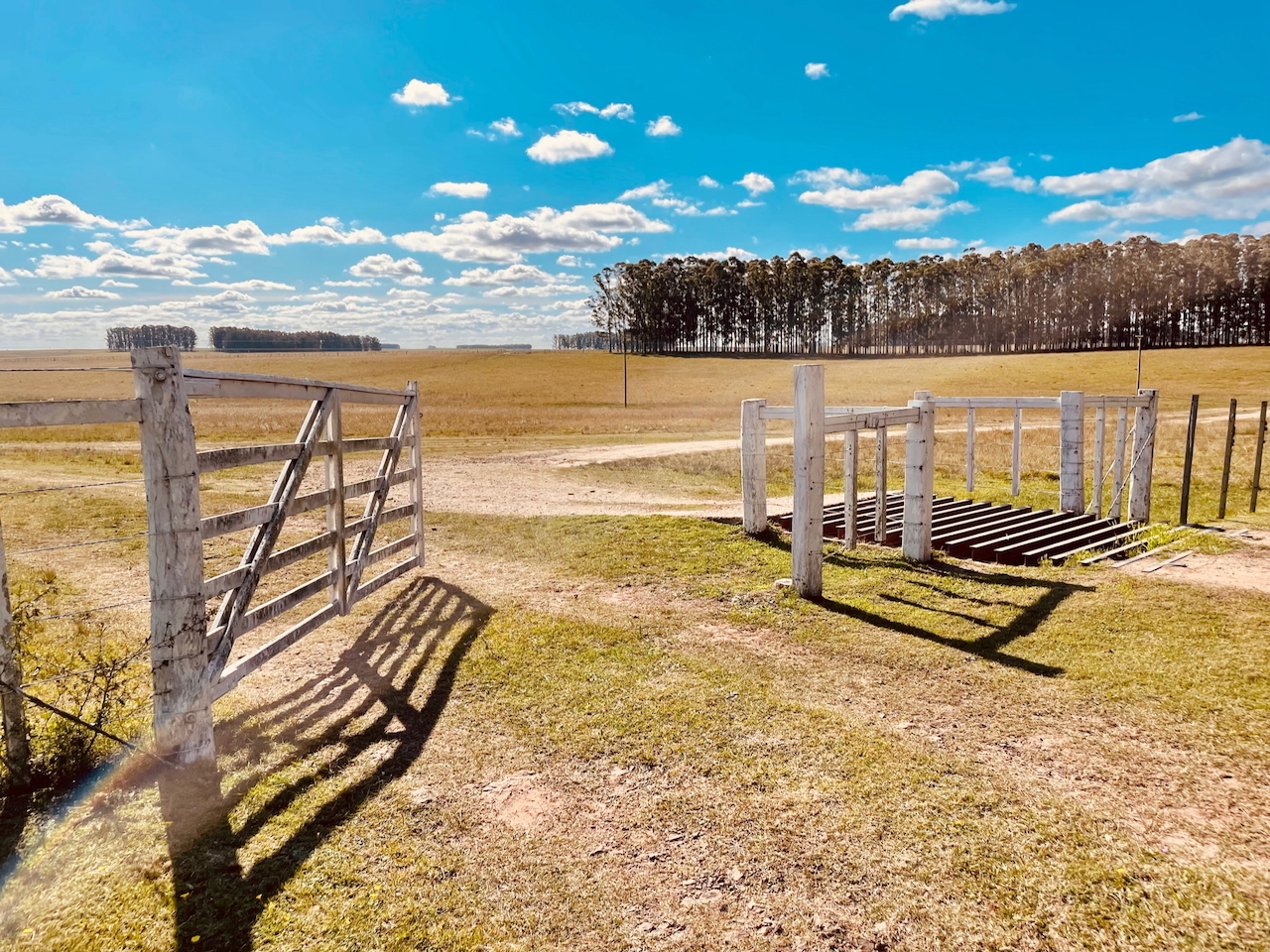 Oportunidades Agrícolas en Uruguay