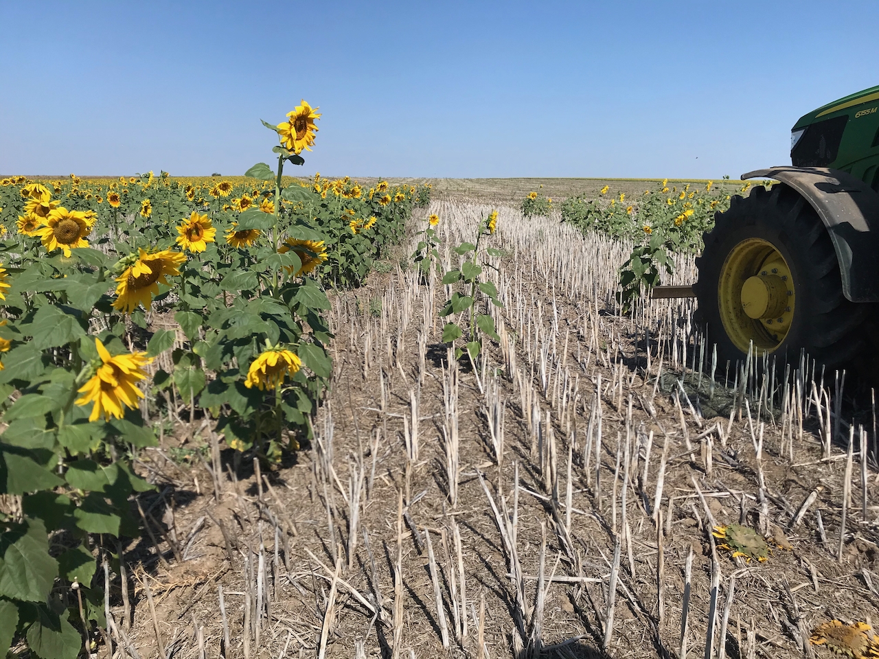 Auditoría técnica y due diligence de una operación agrícola a gran escala en Rumanía