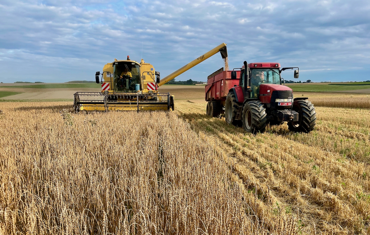 Gestión Agrícola en Bélgica