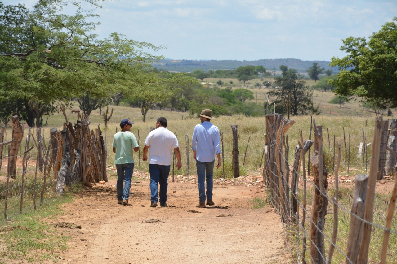 Regeneración a gran escala de suelos degradados