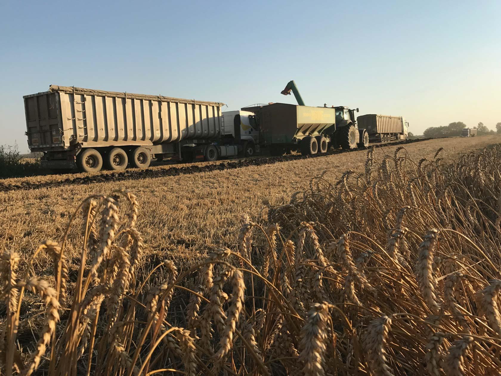 Agronomical optimisation and soil conservation practices