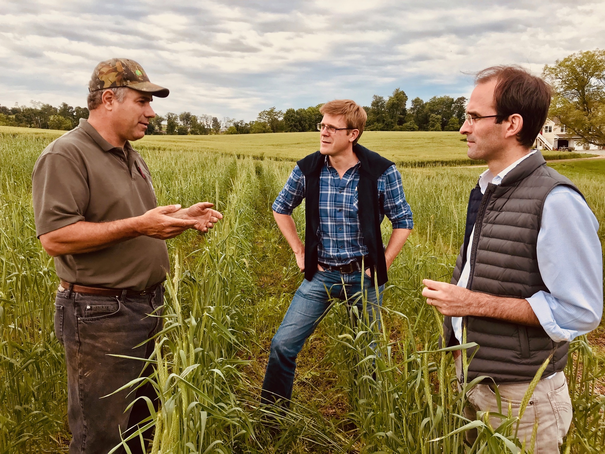 Unlocking Farmland Opportunities in Uruguay