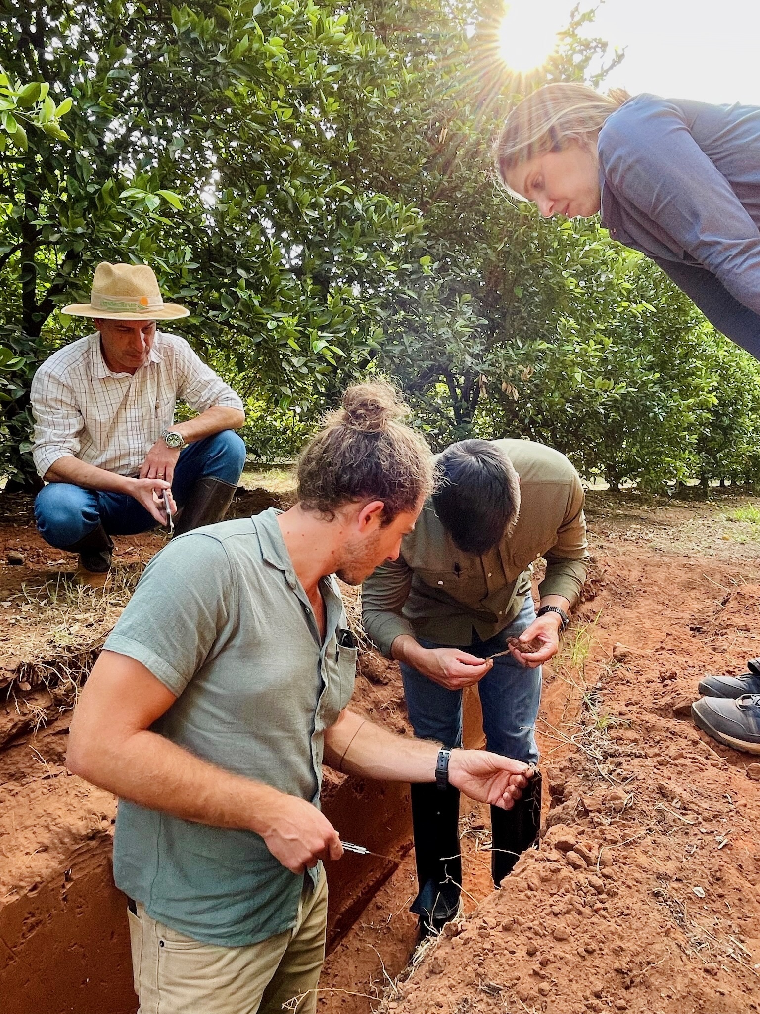 Unlocking Farmland Opportunities in Uruguay