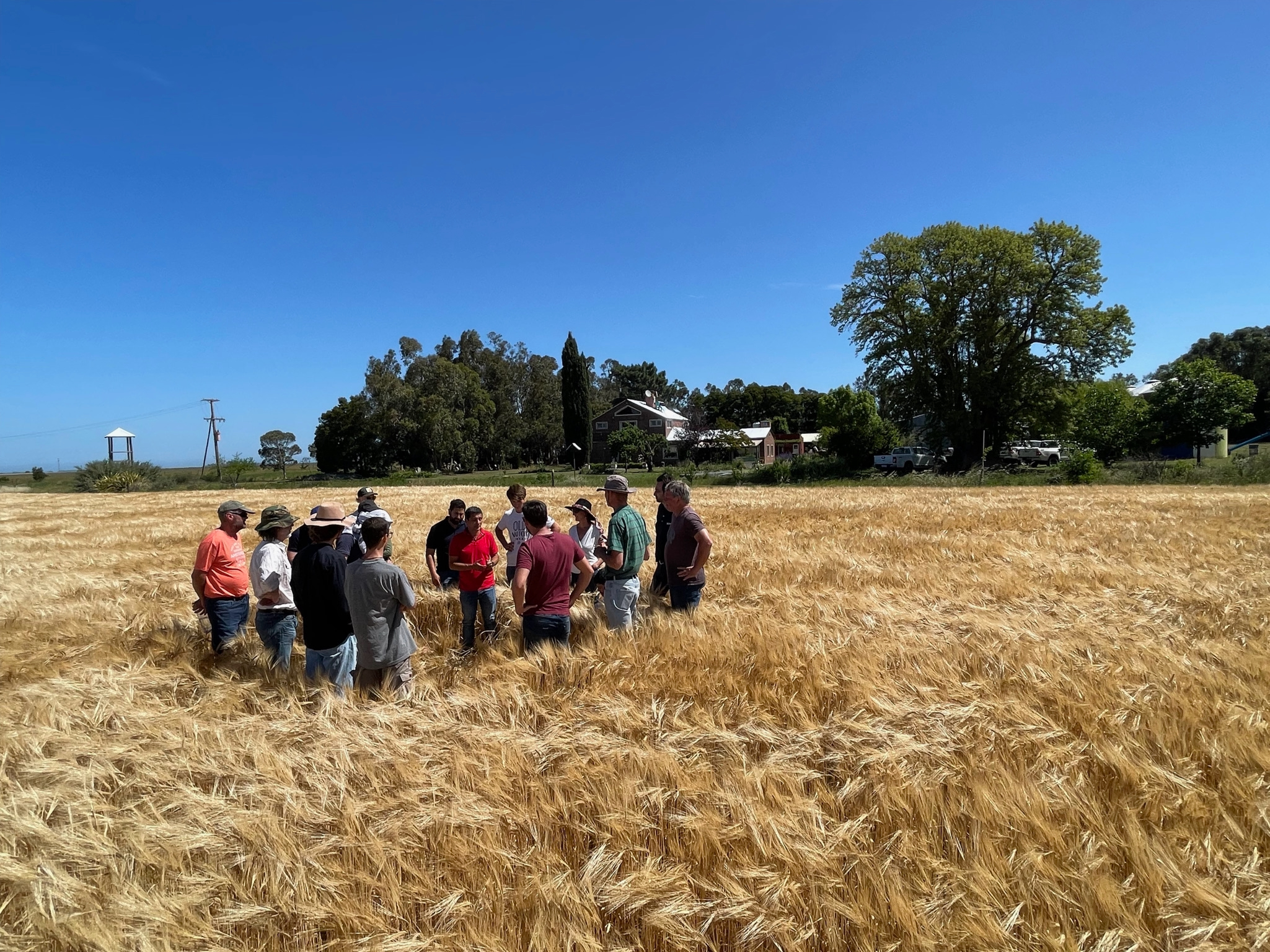 Unlocking Farmland Opportunities in Uruguay