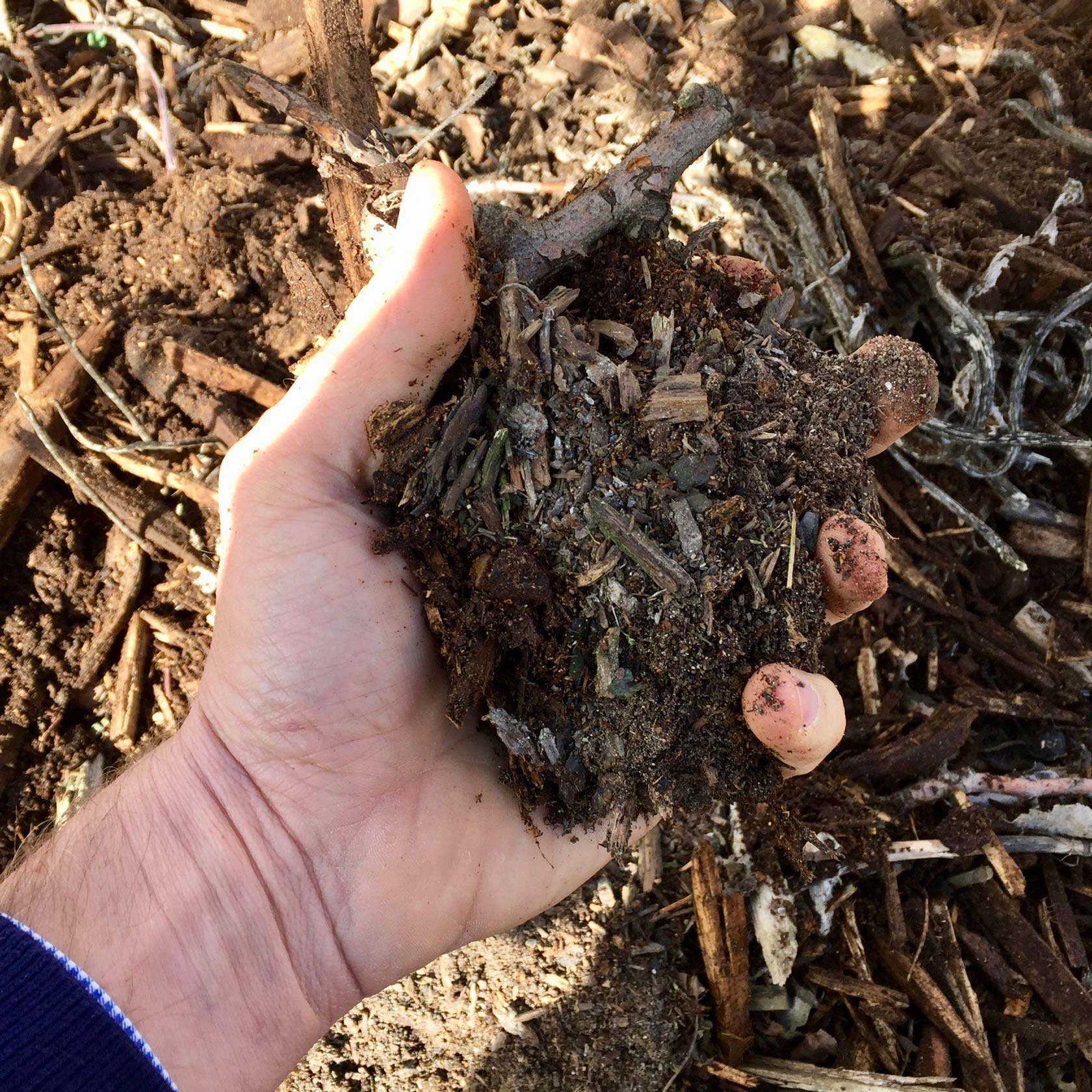 General management of an international farming business