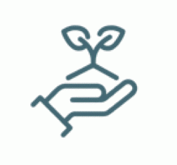 Picto soil disturbance