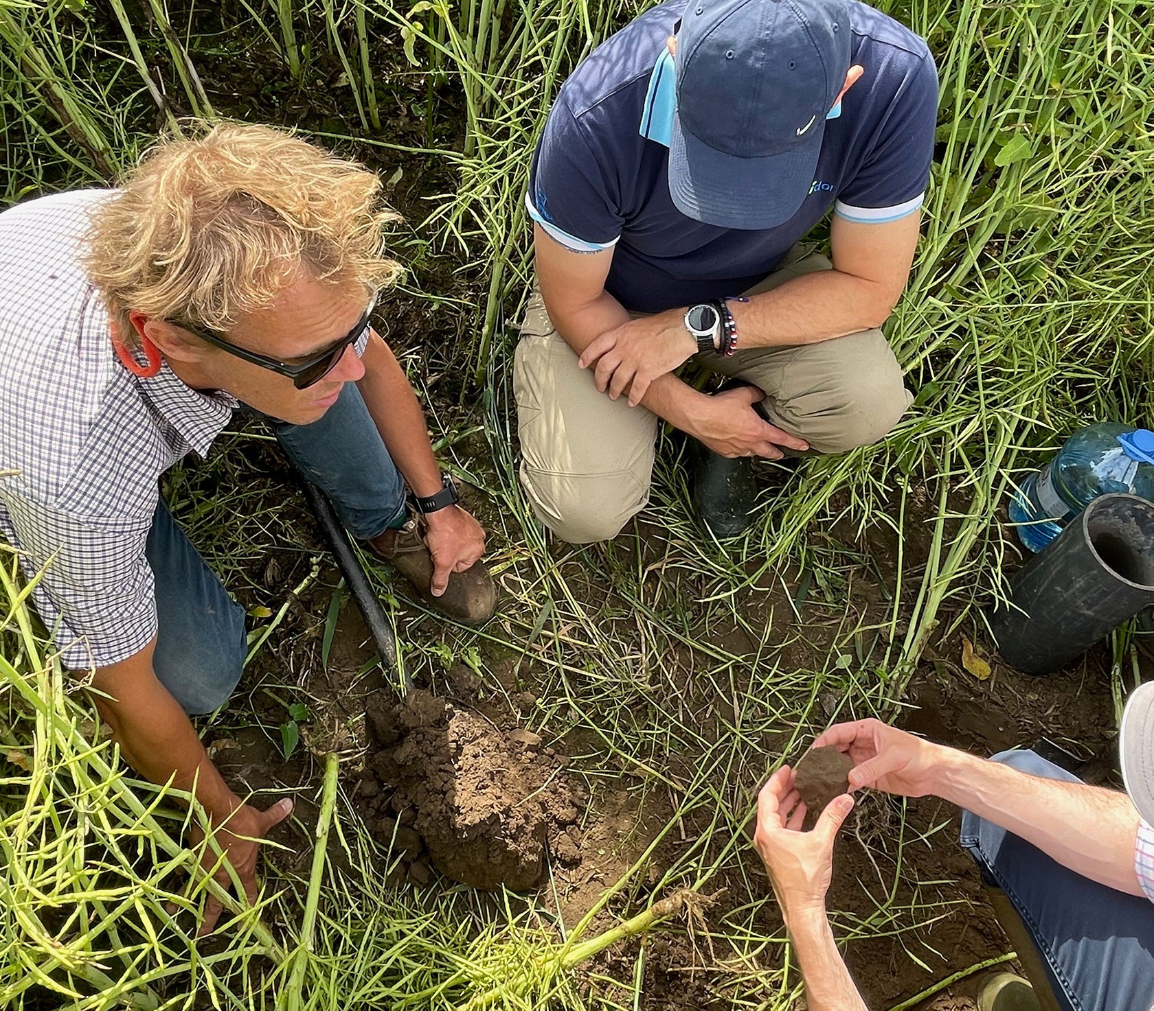 Strategy design and support for a healthy transition to regenerative agriculture in Poland