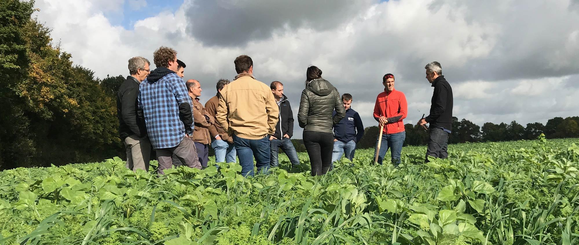 Asesorando a agricultores belgas en agricultura regenerativa
