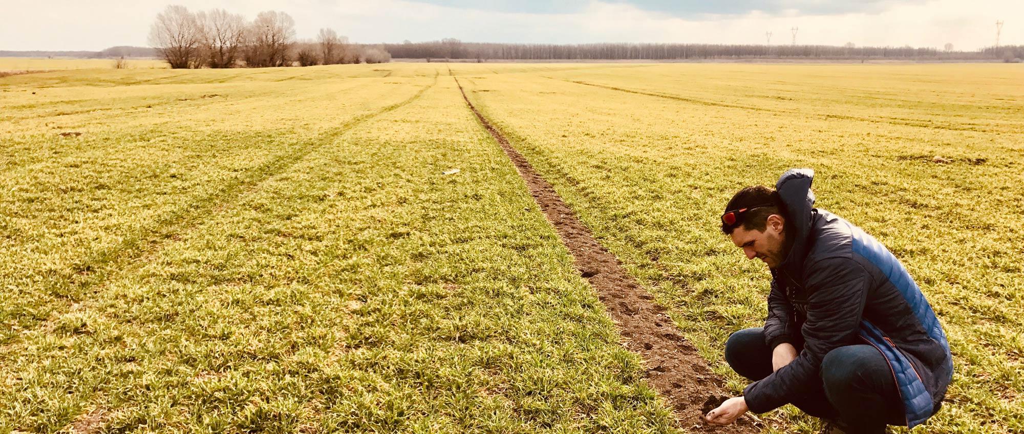 Optimización agronómica y prácticas de conservación del suelo