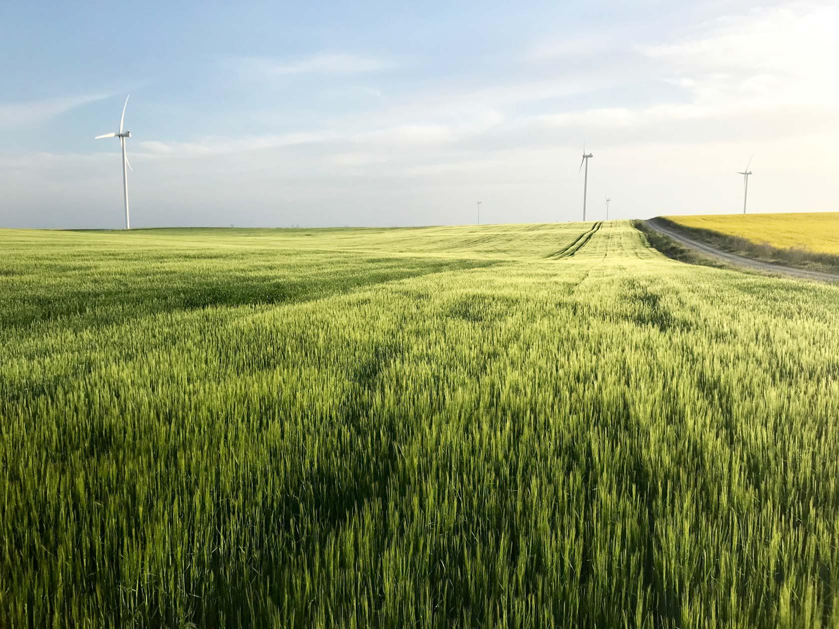 Agronomical optimisation and soil conservation practices